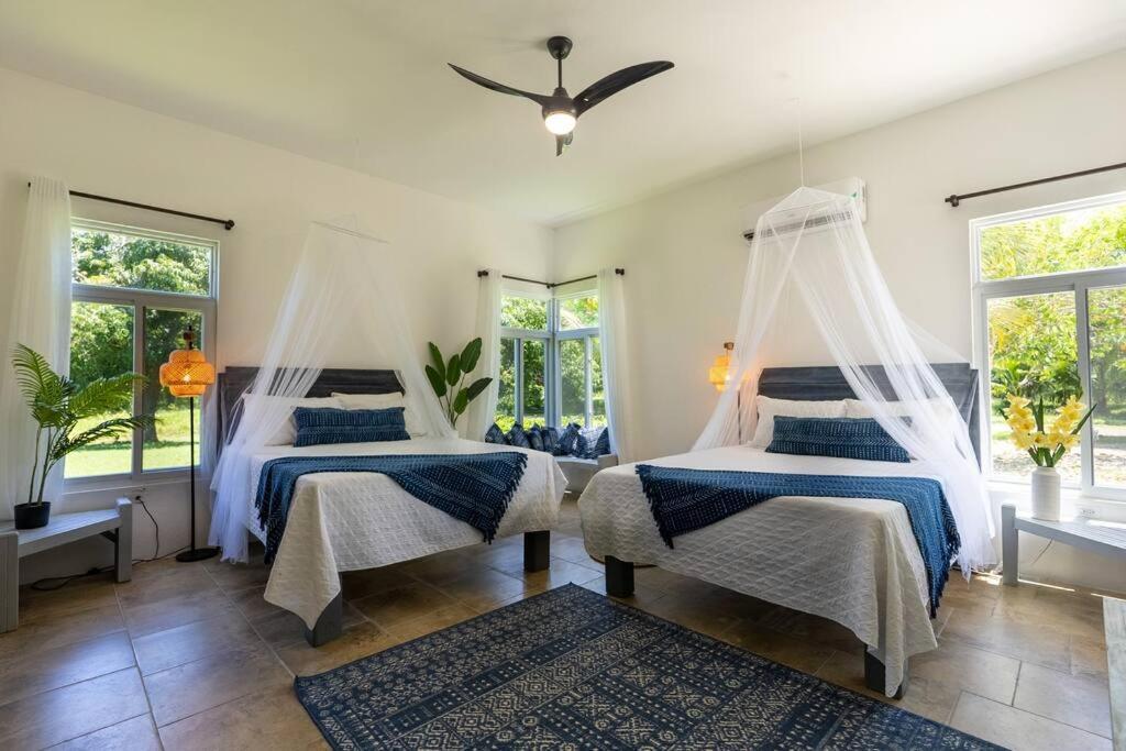 Ivy'S Cove Beach Side Condo - Luxury Villa Whitehouse Eksteriør billede