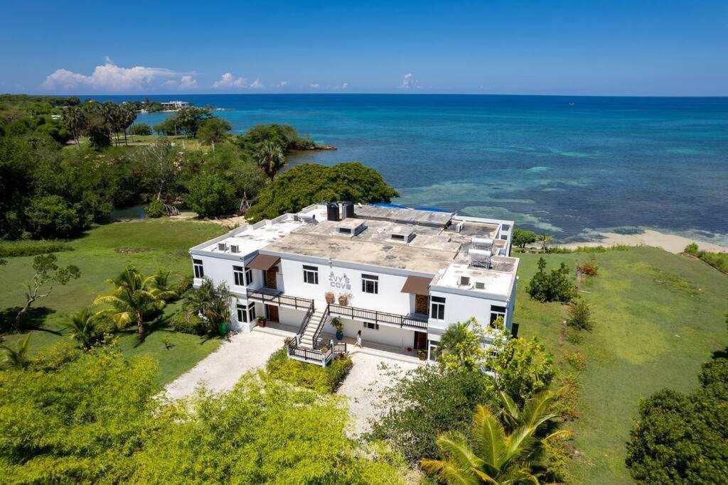 Ivy'S Cove Beach Side Condo - Luxury Villa Whitehouse Eksteriør billede