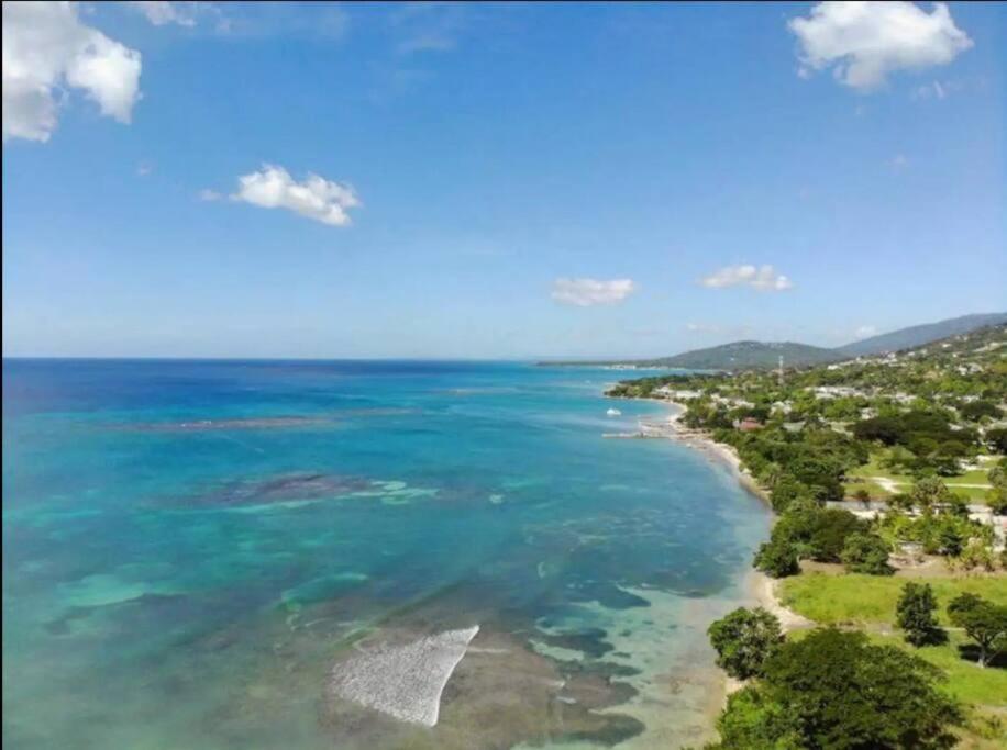 Ivy'S Cove Beach Side Condo - Luxury Villa Whitehouse Eksteriør billede