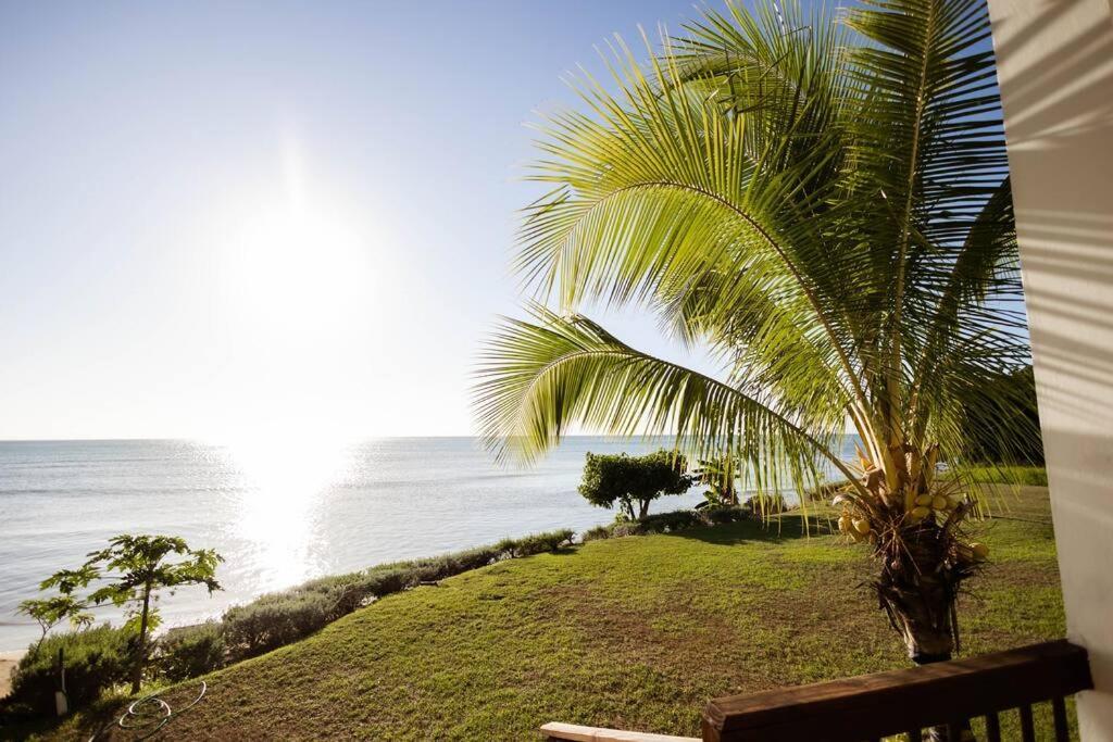 Ivy'S Cove Beach Side Condo - Luxury Villa Whitehouse Eksteriør billede