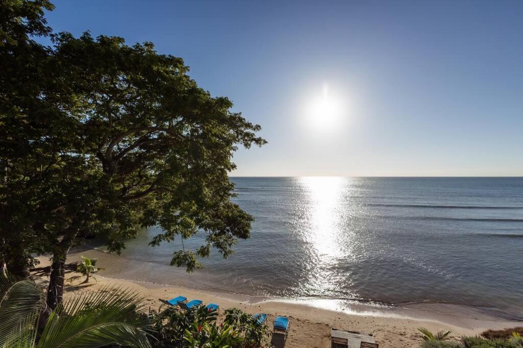 Ivy'S Cove Beach Side Condo - Luxury Villa Whitehouse Eksteriør billede