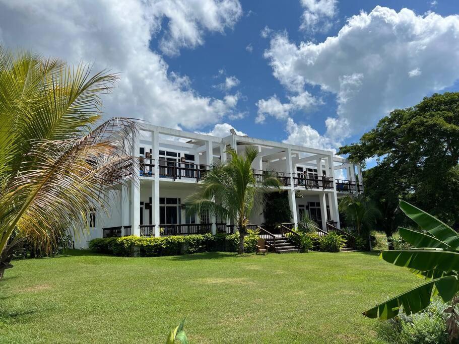 Ivy'S Cove Beach Side Condo - Luxury Villa Whitehouse Eksteriør billede