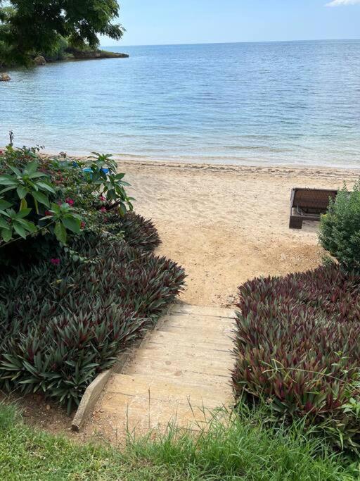 Ivy'S Cove Beach Side Condo - Luxury Villa Whitehouse Eksteriør billede
