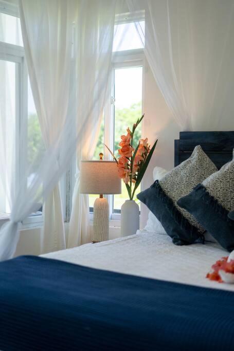 Ivy'S Cove Beach Side Condo - Luxury Villa Whitehouse Eksteriør billede