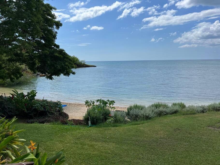 Ivy'S Cove Beach Side Condo - Luxury Villa Whitehouse Eksteriør billede