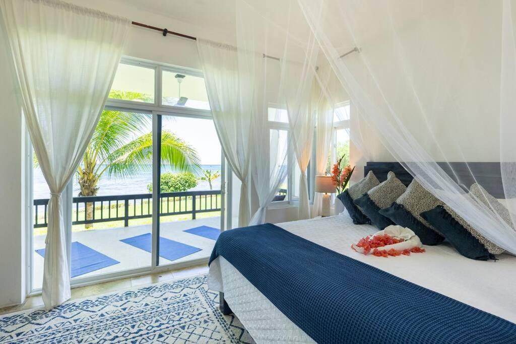 Ivy'S Cove Beach Side Condo - Luxury Villa Whitehouse Eksteriør billede