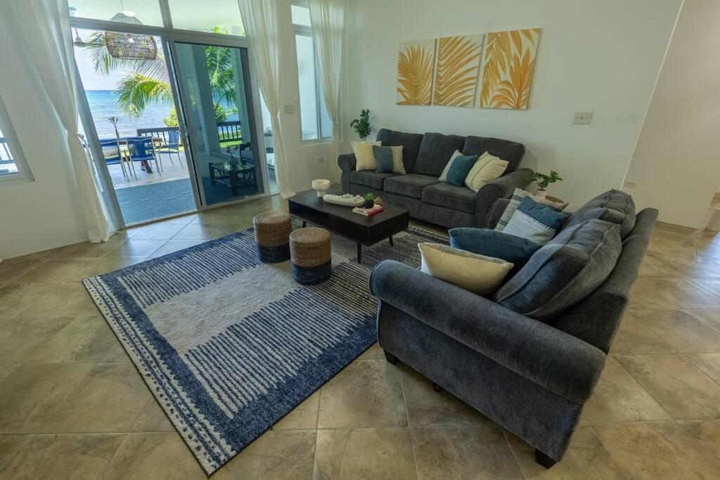 Ivy'S Cove Beach Side Condo - Luxury Villa Whitehouse Eksteriør billede